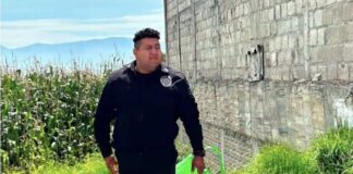 Sorprenden a policía robando elotes