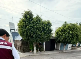 Deterioro vial y baches en San Juan del Río generan malestar ciudadano: Mario Misael Pérez Pichardo