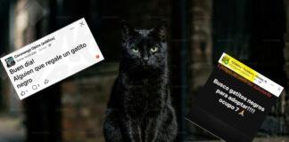 Alertan por posible venta de gatos para rituales en Puebla