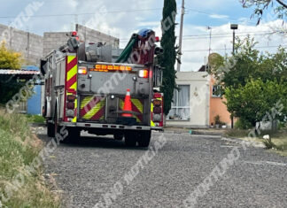 Movilización de bomberos por una serpiente dentro de un domicilio en Zona Oriente de San Juan del Río