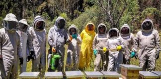 IMPA El Marqués intercambia experiencias en Colombia para mejorar la protección de abejas