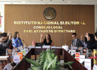 Partidos políticos piden transparencia al INE ante controversia por Guadalupe Taddei