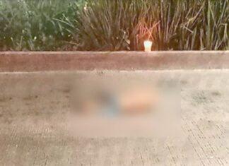 Una persona terminó su vida desfigurada en el carril del Mexibús