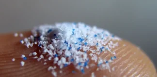 Microplásticos podrían provocar reacciones químicas dañinas dentro del cuerpo humano